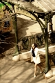 IMG_6910 copy